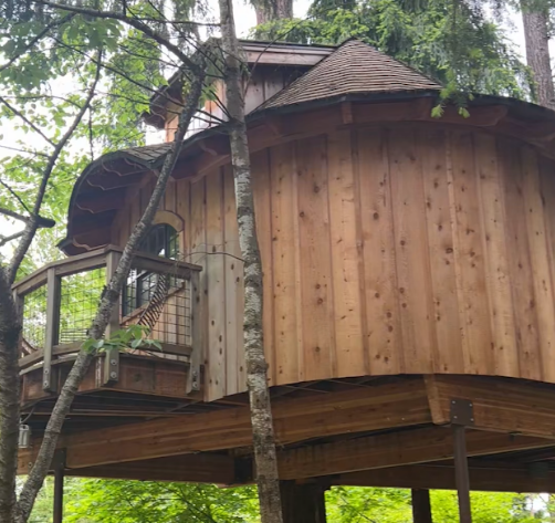 Treehouse Meeting Room